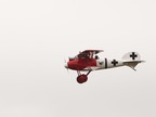 Albatros D.Va 25e
